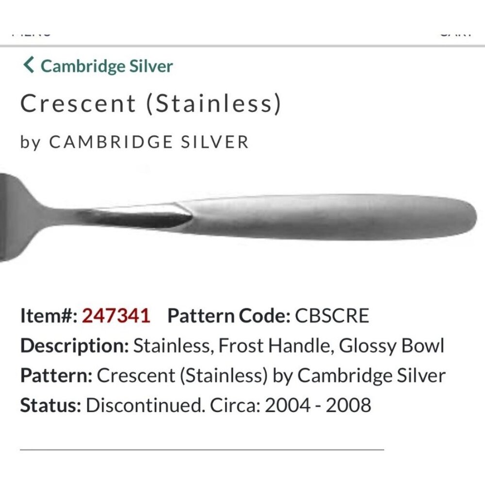 Cambridge Silver Crescent Stainless Teaspoons Set Of 11 Frost Handle Glossy Bowl